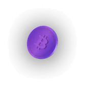 Bitcode Prime - Get in touch with us